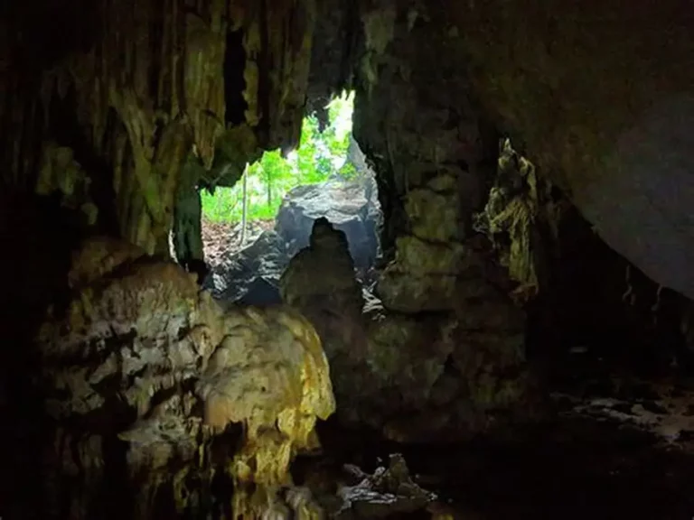 🛶 Raft, Trek & Cave – Klong Phanom National Park - Image 3
