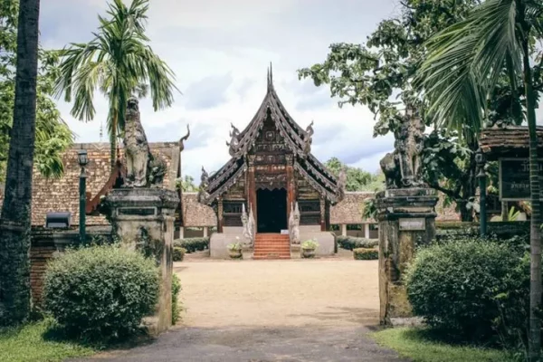 🚴‍♂️ Chiang Mai Hilly eBike Trip – Demi-journée immersive – Image 5