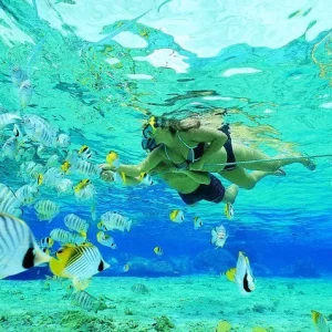 🐠 Snorkeling à Koh Lipe en  Speedboat  ( option 3 )