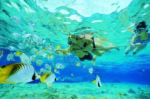 🐠 Snorkeling à Koh Lipe en  Speedboat  ( option 3 )