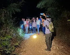 🌌 Randonnée Nocturne dans la Jungle de Khao Sok