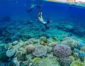 🐠 Excursion Privée – Îles Surin en Speedboat (1 Jour Complet)