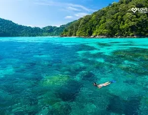 🐠 Excursion Journée – Îles Surin en Speedboat