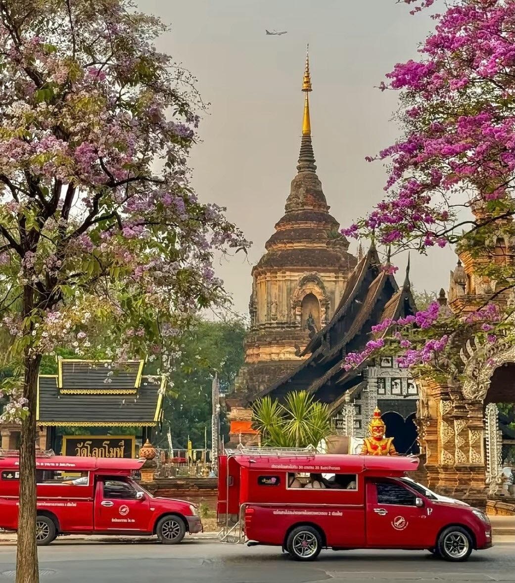 vielle ville de chiang mai et ses taxis rouge