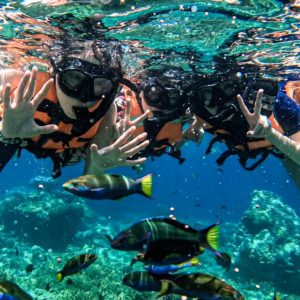 snorkeling Koh Kood