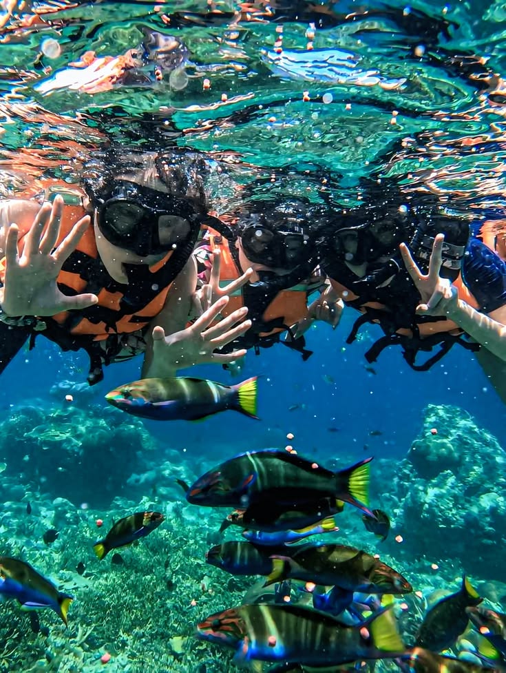 snorkeling Koh Kood